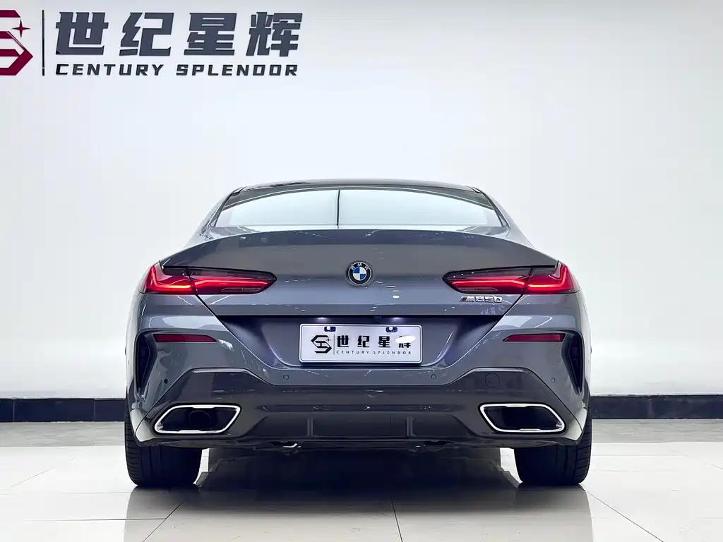 BMW 8 Series 2023 — фото 6