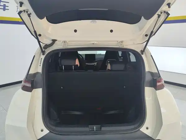 BYD Seagull 2024