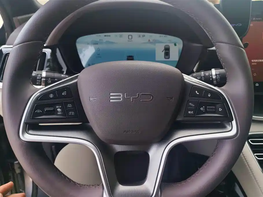 BYD PLUS New Energy 2025 — фото 15