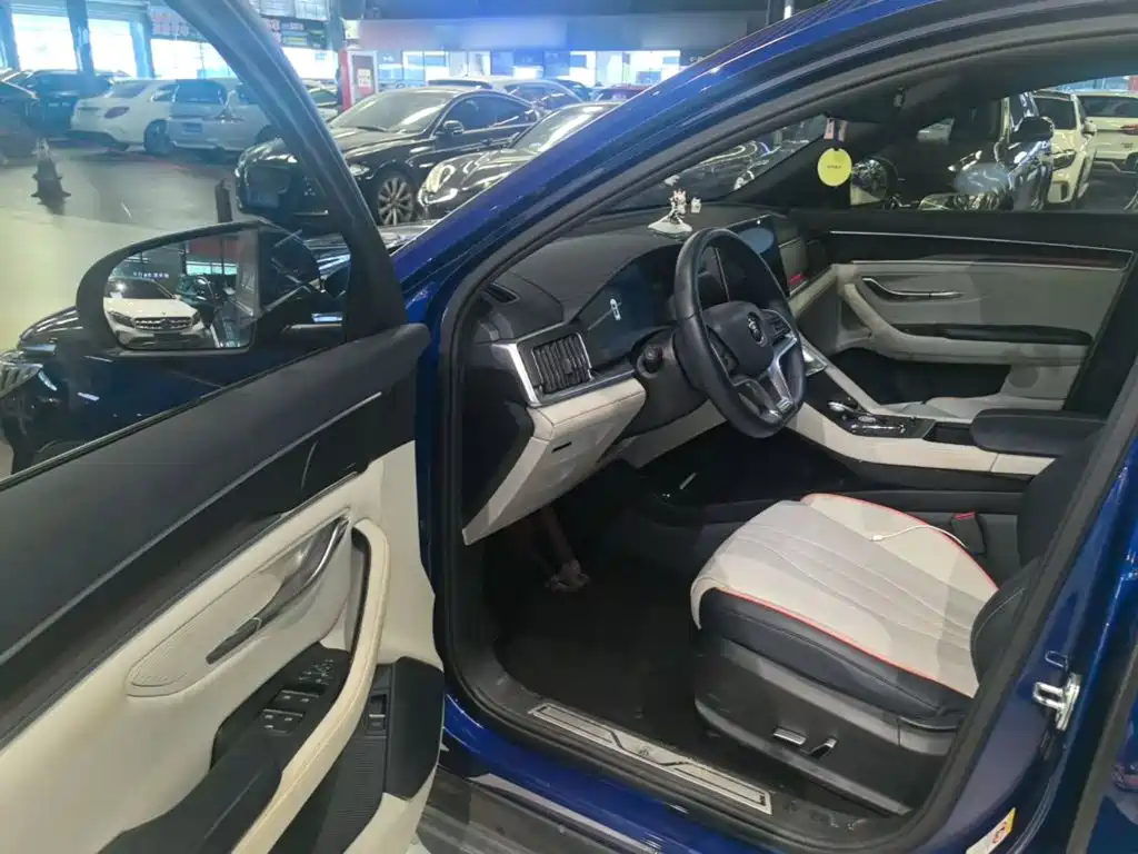 BYD Song PLUS New Energy 2023 — фото 16