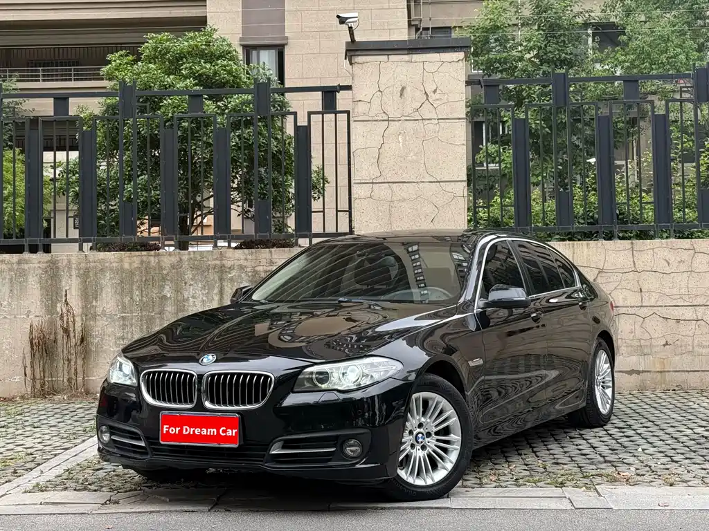 BMW 5 Series 2014 — фото 1