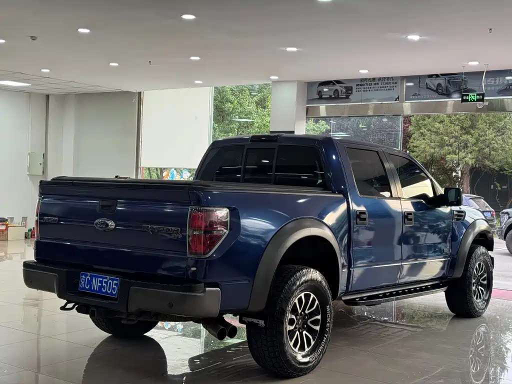 Ford F-150 Raptor 2014 — фото 9