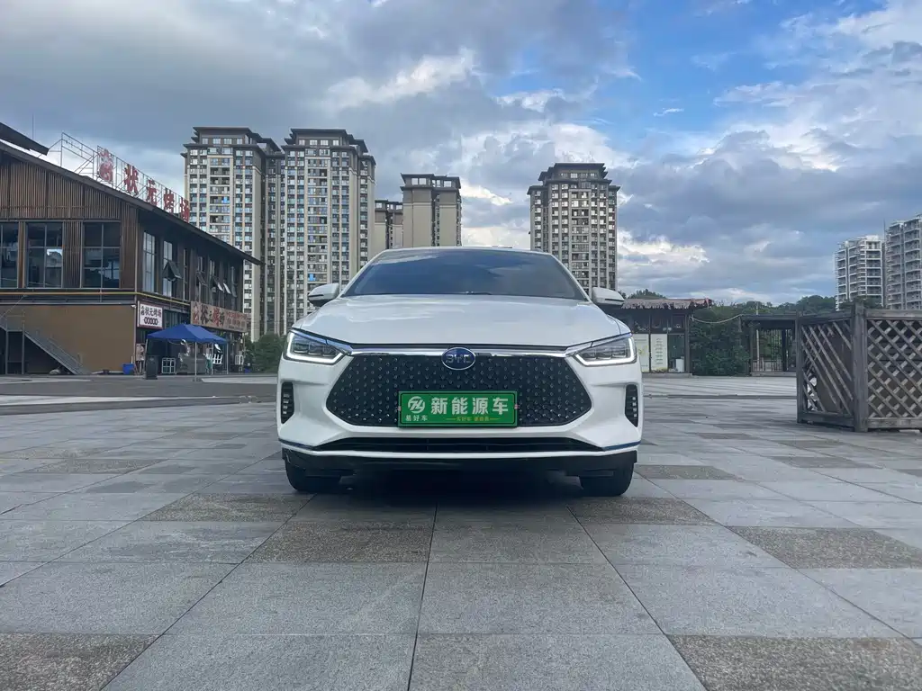 BYD e2 2021