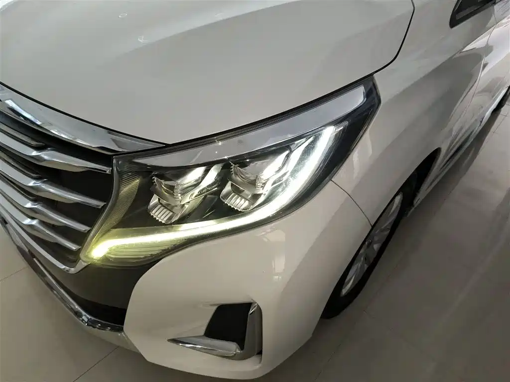 GAC Motor Trumpchi M8 2021 — фото 24
