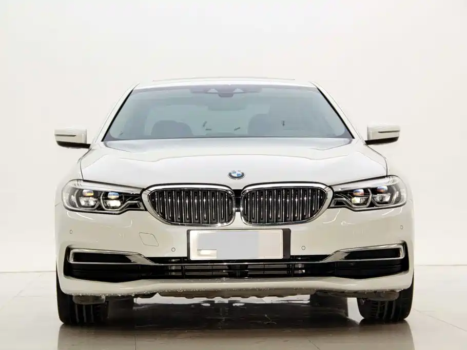 BMW 5 Series New Energy 2020 — фото 3
