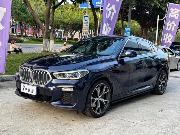 BMW X6 2021