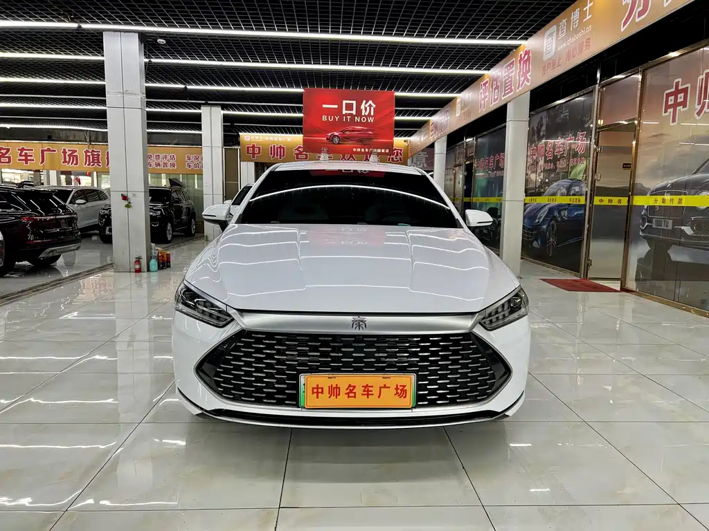 BYD Qin PLUS 2024 — фото 2