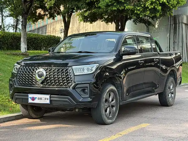 Great Wall Poer 2024