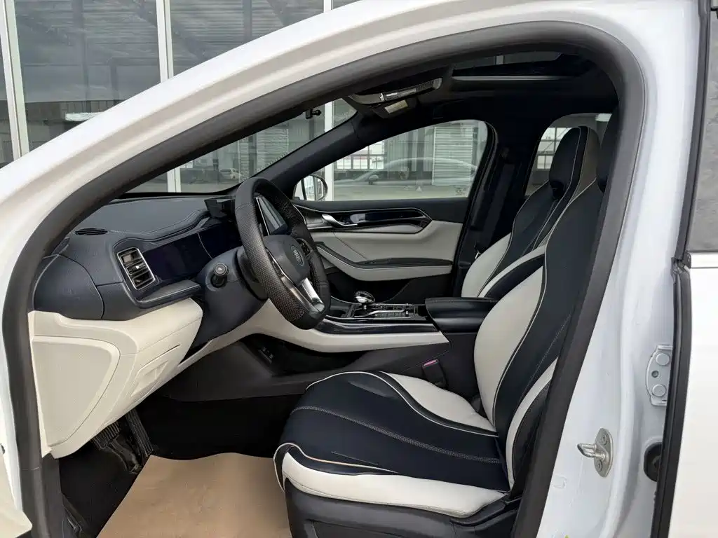 BYD Qin PLUS 2022 — фото 9