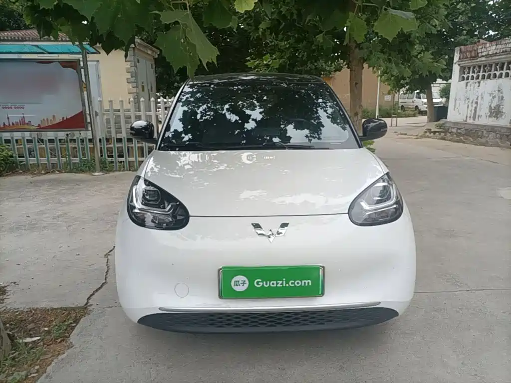 Wuling Bingo 2024