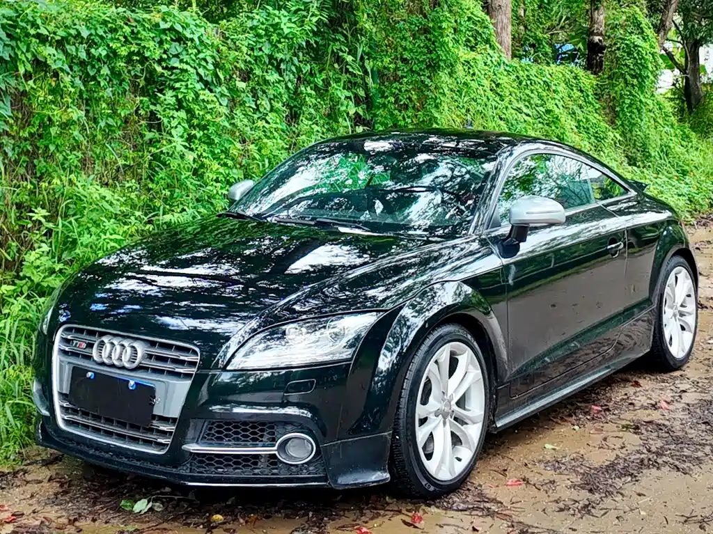 Audi TTS 2013 — фото 48
