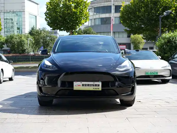 Tesla Model Y 2021