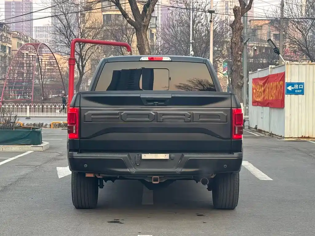Ford F-150 Raptor 2018 — фото 10