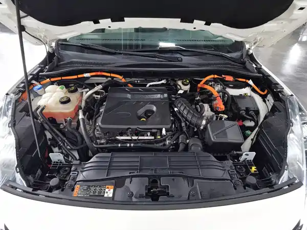 Ford Escape 2021