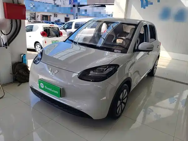 Wuling Bingo 2024