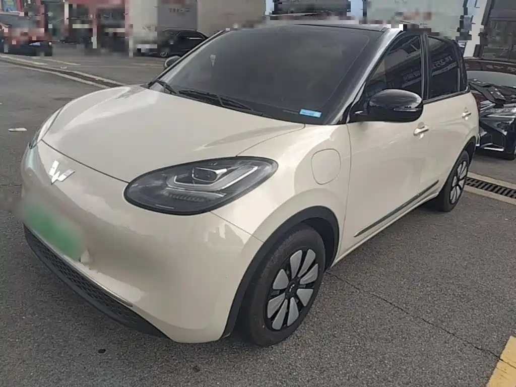 Wuling Bingo 2024