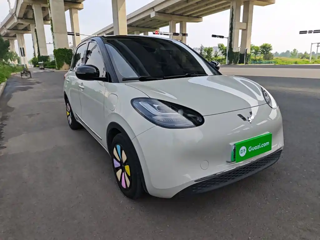 Wuling Bingo 2024
