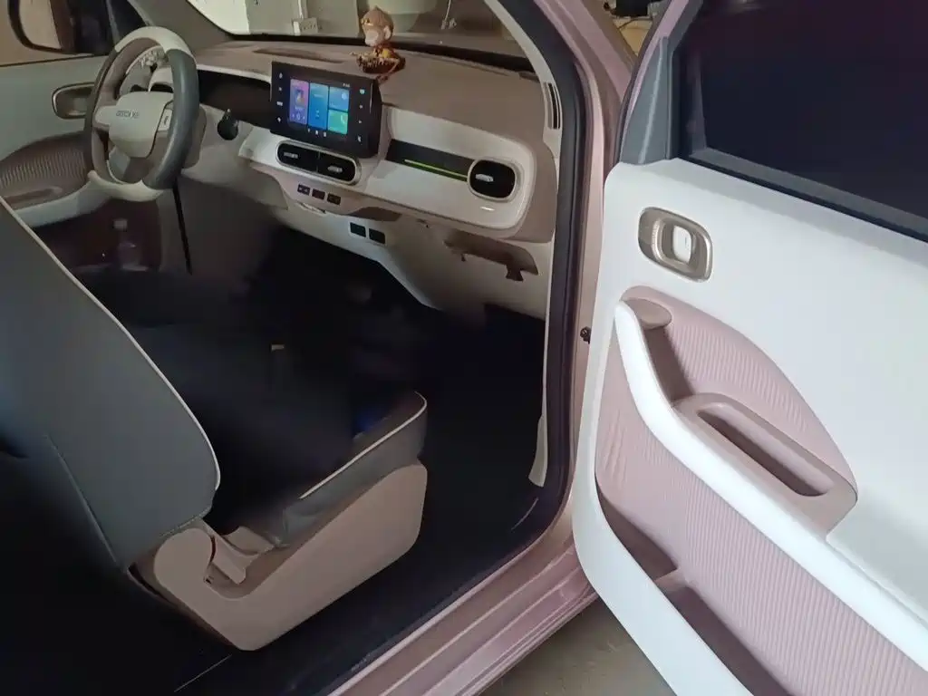 Geely Galaxy Panda 2025 — фото 22