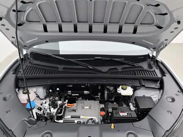 BYD Yuan UP 2024