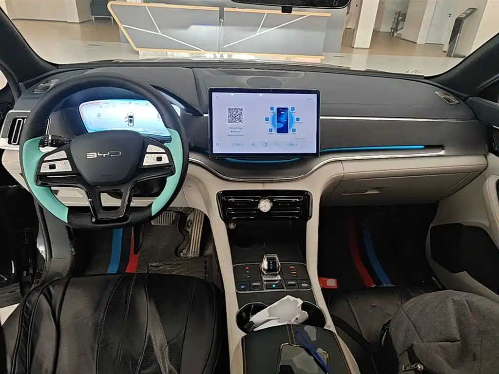 BYD PLUS New Energy 2024 — фото 10