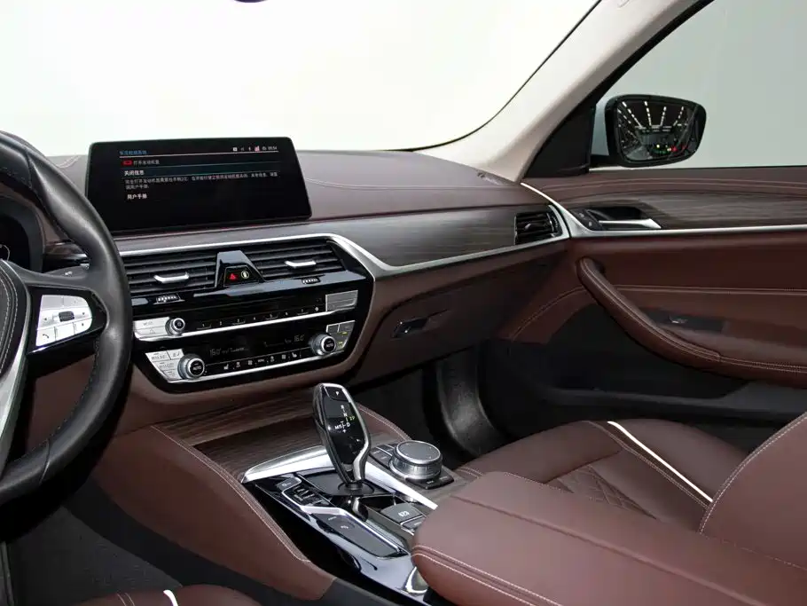BMW 5 Series New Energy 2020 — фото 9
