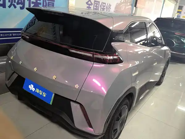 BYD Seagull 2024
