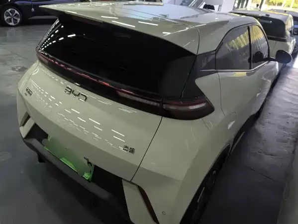 BYD Seagull 2024