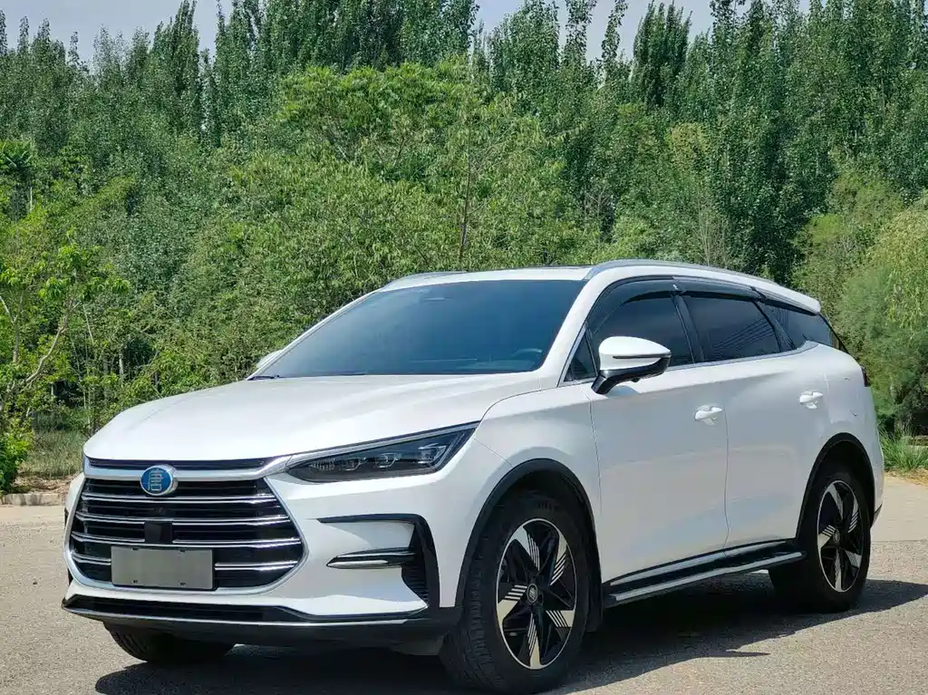 BYD Tang New Energy 2024 — фото 1