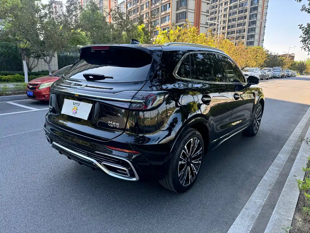 Hongqi HS5 2024 — фото 15