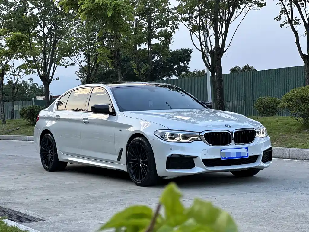 BMW 5 Series 2019 — фото 3