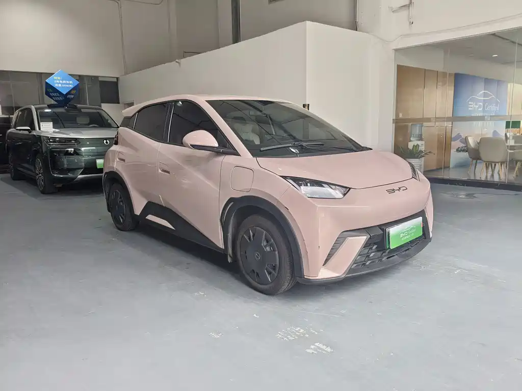 BYD Seagull 2024
