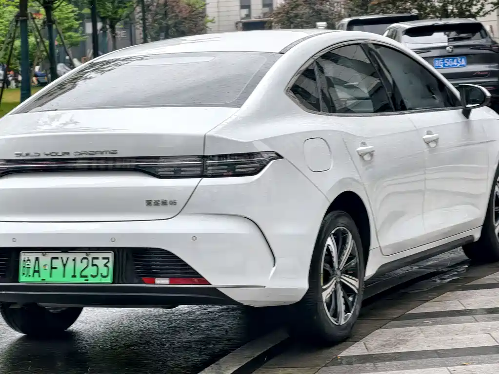 BYD Destroyer 05 2023 — фото 11
