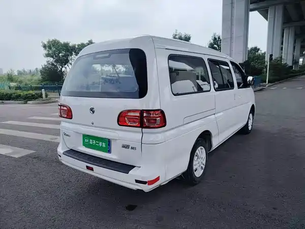 Dongfeng Lingzhi 2019