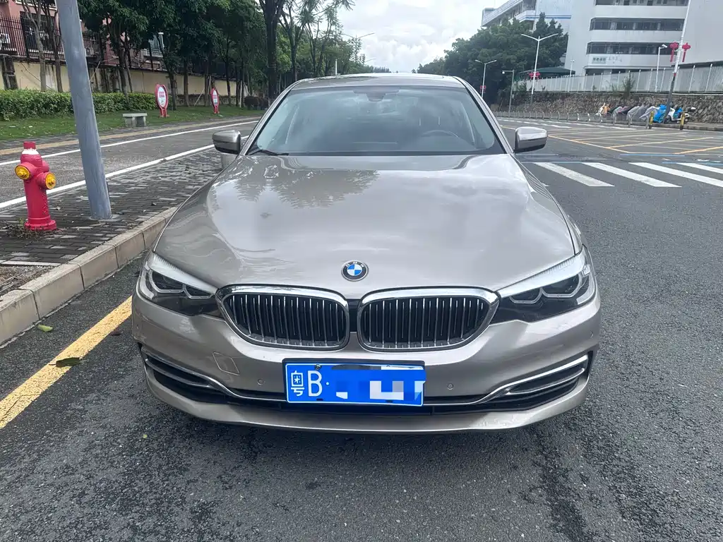 BMW 5 Series 2019