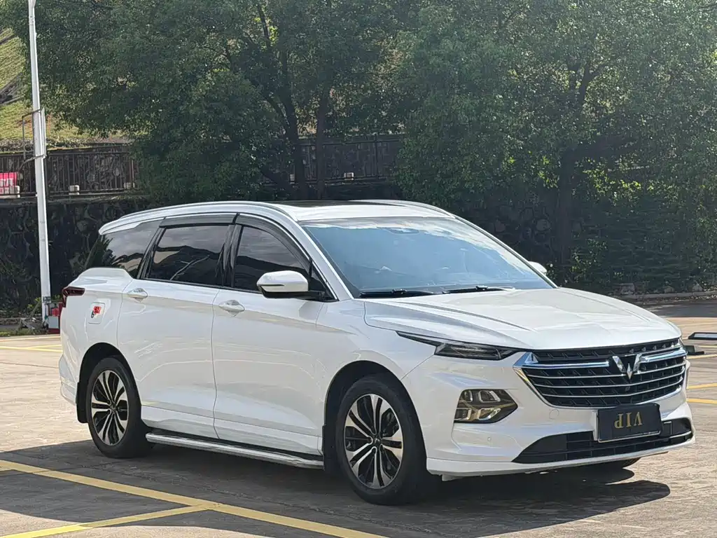 Wuling Capgemini 2022