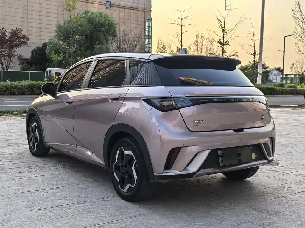 BYD Dolphin 2022