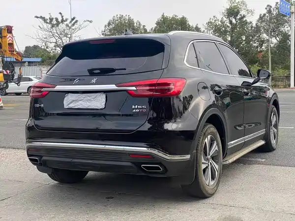 Hongqi HS5 2020
