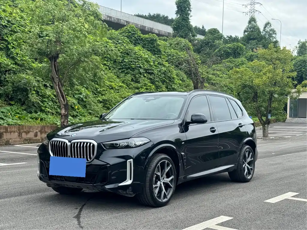 BMW X5 2024