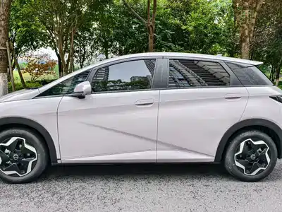 BYD Dolphin 2021