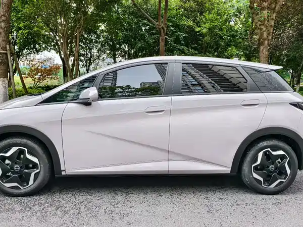 BYD Dolphin 2021