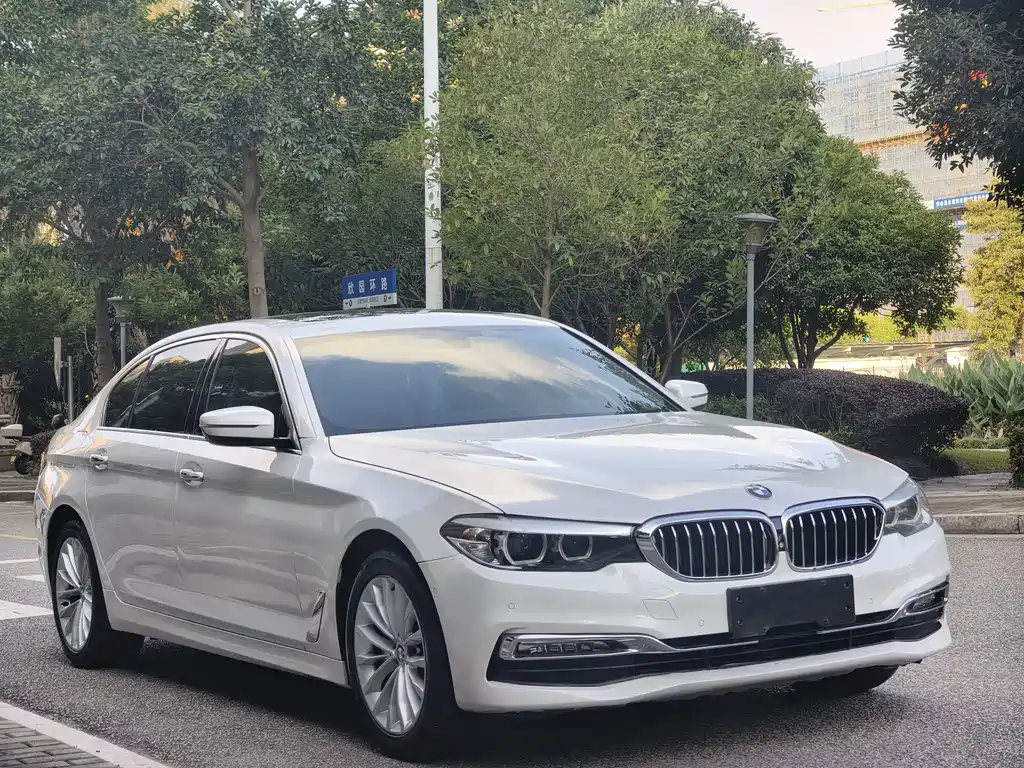 BMW 5 Series 2019