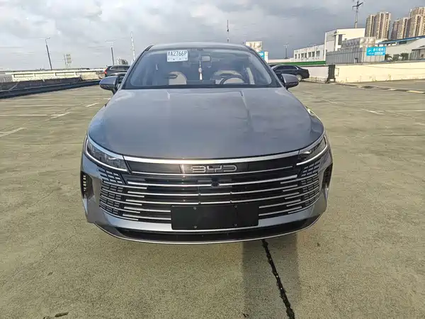 BYD Destroyer 05 2024