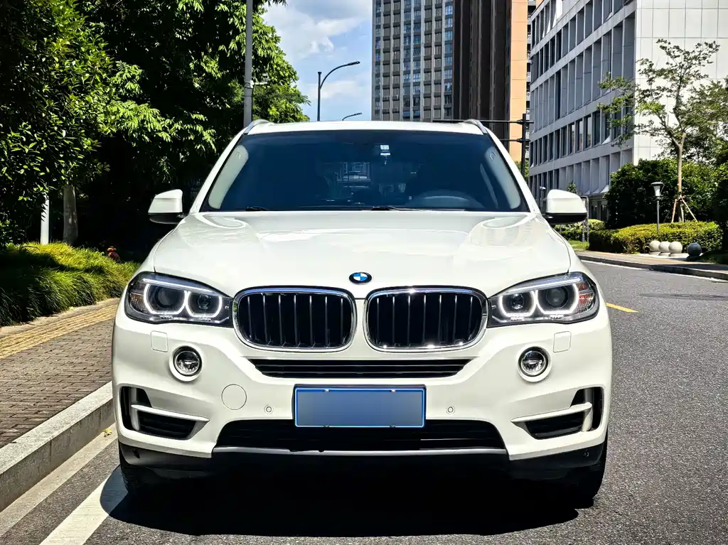 BMW X5 2015 — фото 2