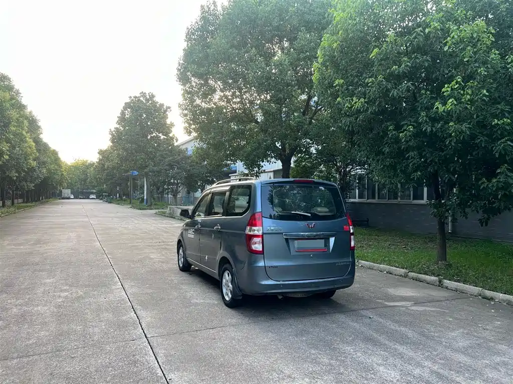 Wuling Hongguang 2014