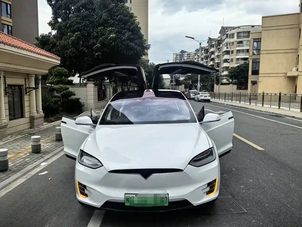 Tesla Model X 2020 — фото 4