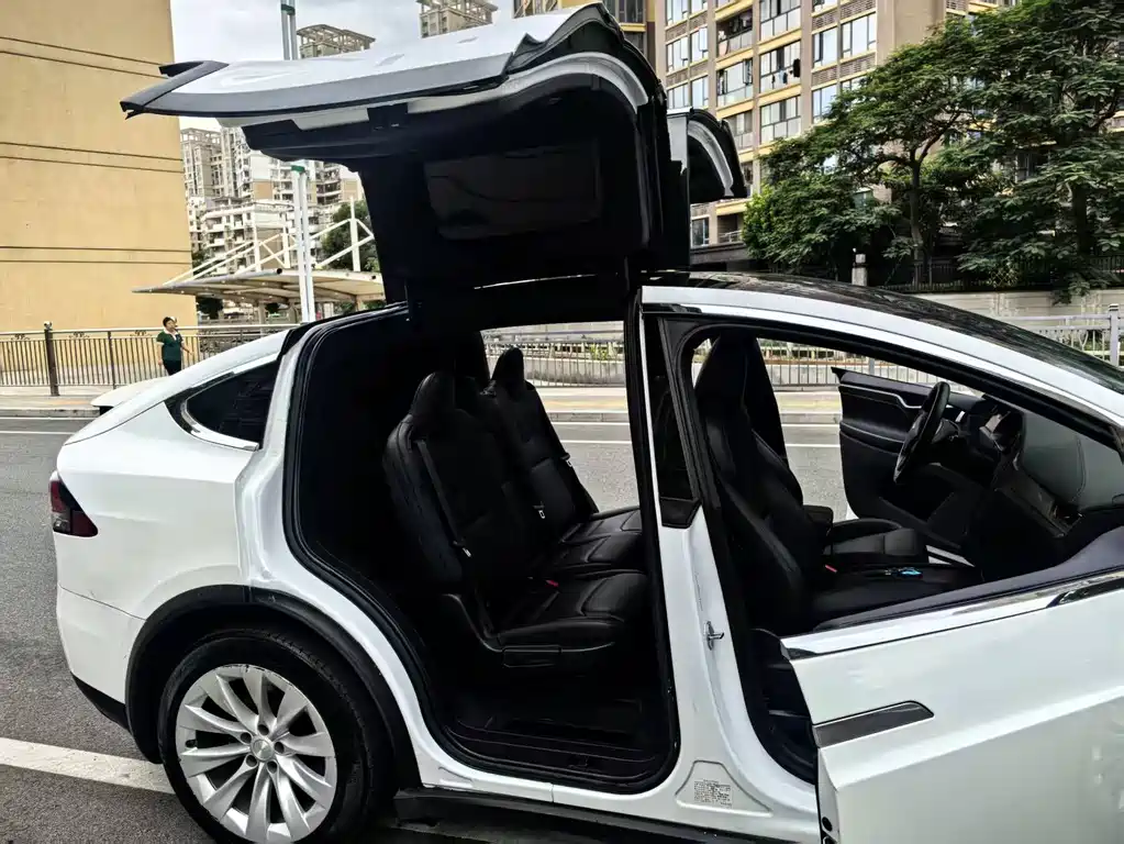 Tesla Model X 2020 — фото 7