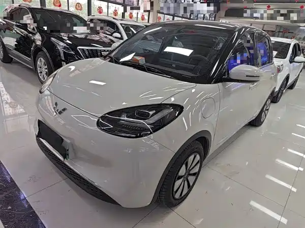 Wuling Bingo 2024