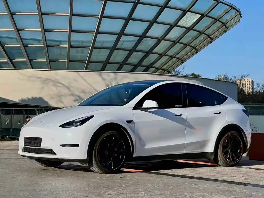 Tesla Model Y 2023 — фото 2