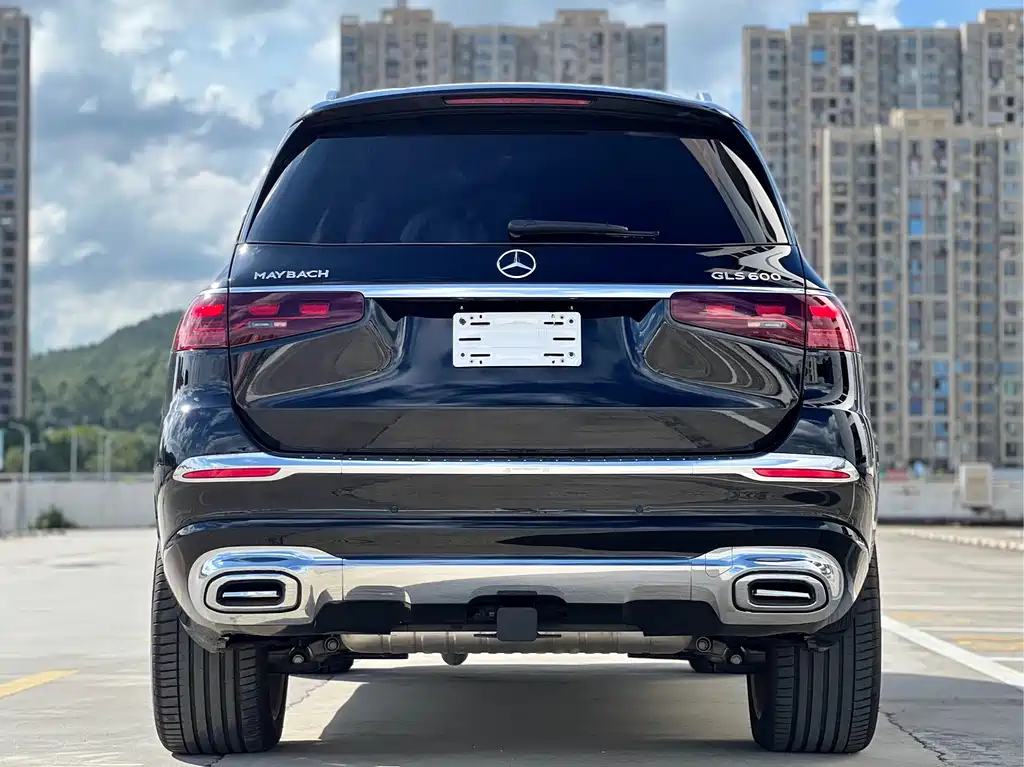 Mercedes-Benz GLS 2024 — фото 14