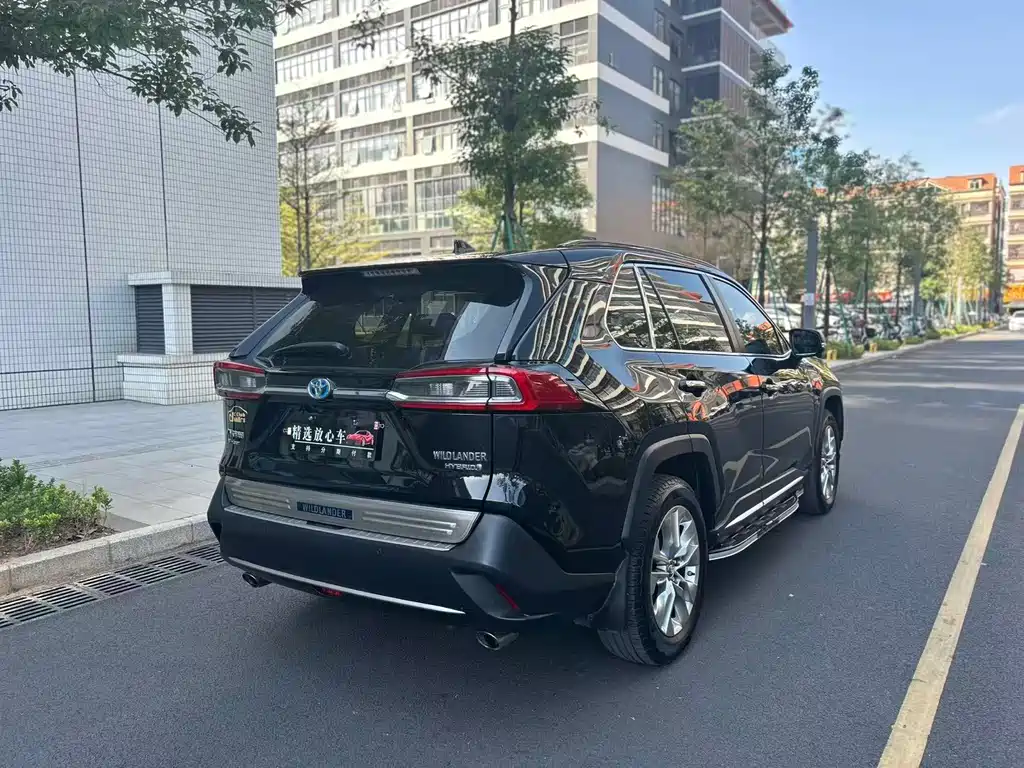 Toyota Wildlander 2020 — фото 4